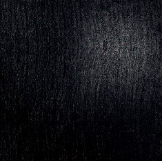 wp85fa5560_0f.jpg