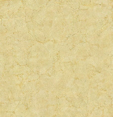wp88b43e37_0f.jpg